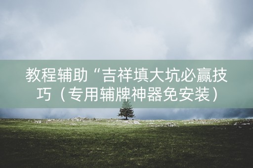 教程辅助“吉祥填大坑必赢技巧（专用辅牌神器免安装）