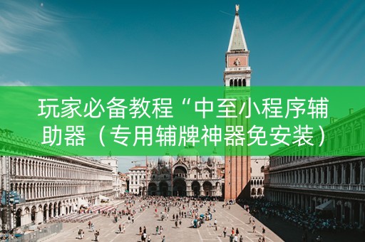 玩家必备教程“中至小程序辅助器（专用辅牌神器免安装）