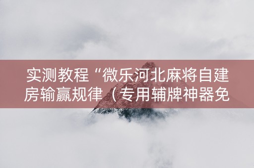 实测教程“微乐河北麻将自建房输赢规律（专用辅牌神器免安装）