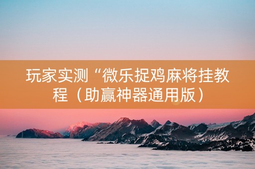 玩家实测“微乐捉鸡麻将挂教程（助赢神器通用版）