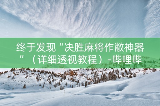 终于发现“决胜麻将作敝神器”（详细透视教程）-哔哩哔哩