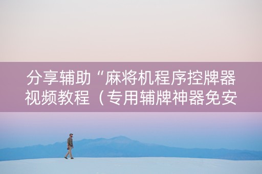 分享辅助“麻将机程序控牌器视频教程（专用辅牌神器免安装）