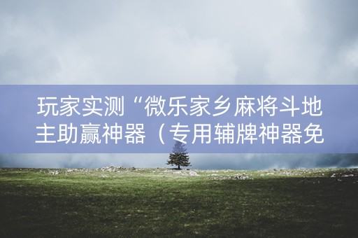玩家实测“微乐家乡麻将斗地主助赢神器（专用辅牌神器免安装）