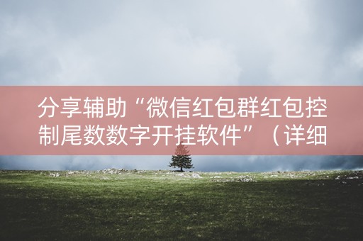 分享辅助“微信红包群红包控制尾数数字开挂软件”（详细透视教程）-哔哩哔哩
