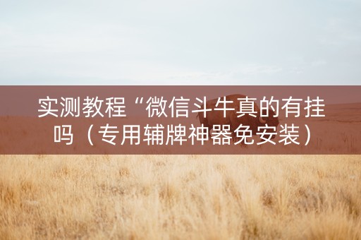 实测教程“微信斗牛真的有挂吗（专用辅牌神器免安装）