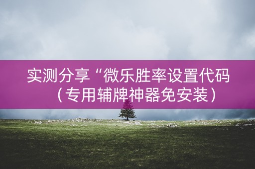 实测分享“微乐胜率设置代码（专用辅牌神器免安装）