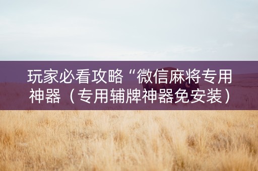 玩家必看攻略“微信麻将专用神器（专用辅牌神器免安装）