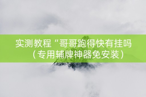 实测教程“哥哥跑得快有挂吗（专用辅牌神器免安装）