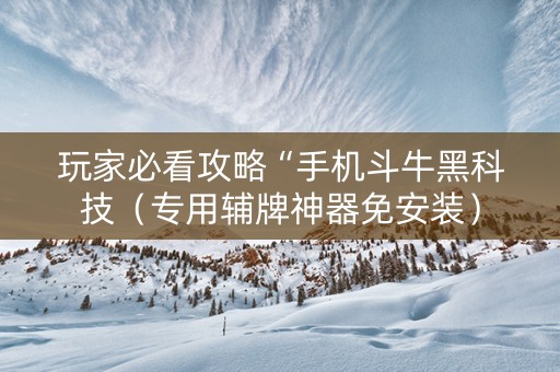 玩家必看攻略“手机斗牛黑科技（专用辅牌神器免安装）