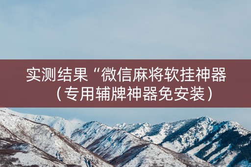 实测结果“微信麻将软挂神器（专用辅牌神器免安装）