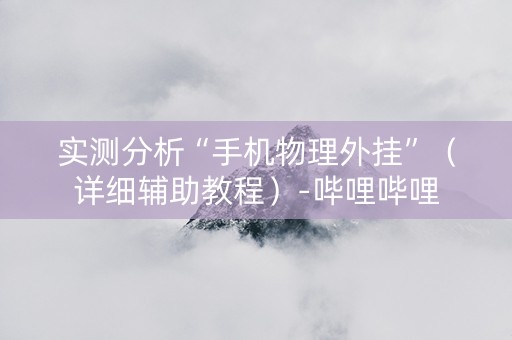 实测分析“手机物理外挂”（详细辅助教程）-哔哩哔哩