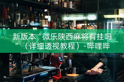 新版本“微乐陕西麻将有挂吗”（详细透视教程）-哔哩哔哩