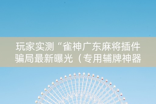 玩家实测“雀神广东麻将插件骗局最新曝光（专用辅牌神器免安装）
