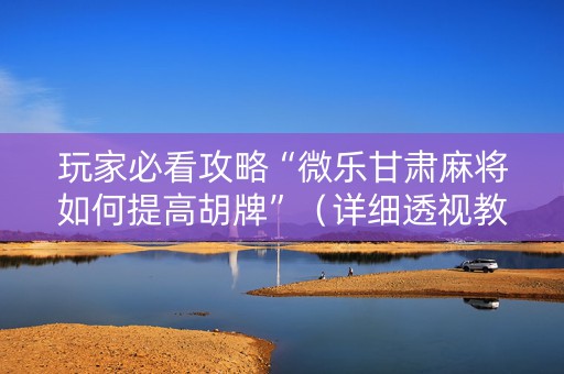 玩家必看攻略“微乐甘肃麻将如何提高胡牌”（详细透视教程）-哔哩哔哩