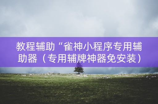 教程辅助“雀神小程序专用辅助器（专用辅牌神器免安装）