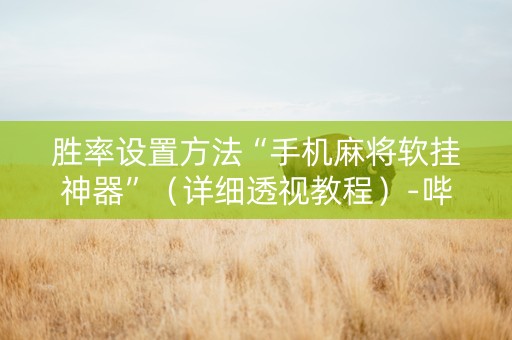 胜率设置方法“手机麻将软挂神器”（详细透视教程）-哔哩哔哩