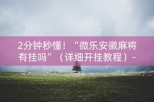 2分钟秒懂！“微乐安徽麻将有挂吗”（详细开挂教程）-哔哩哔哩