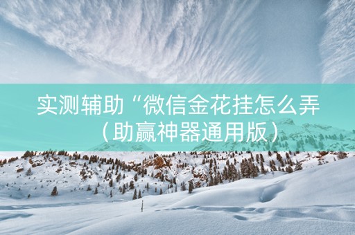 实测辅助“微信金花挂怎么弄（助赢神器通用版）