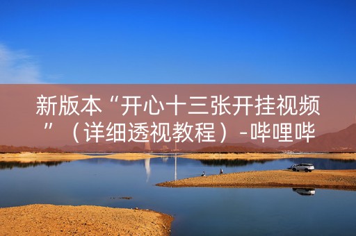 新版本“开心十三张开挂视频”（详细透视教程）-哔哩哔哩