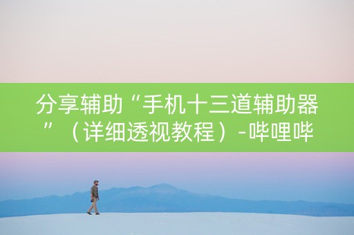 分享辅助“手机十三道辅助器”（详细透视教程）-哔哩哔哩