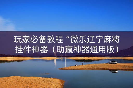 玩家必备教程“微乐辽宁麻将挂件神器（助赢神器通用版）
