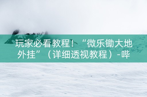 玩家必看教程！“微乐锄大地外挂”（详细透视教程）-哔哩哔哩