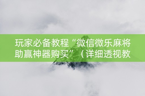 玩家必备教程“微信微乐麻将助赢神器购买”（详细透视教程）-哔哩哔哩