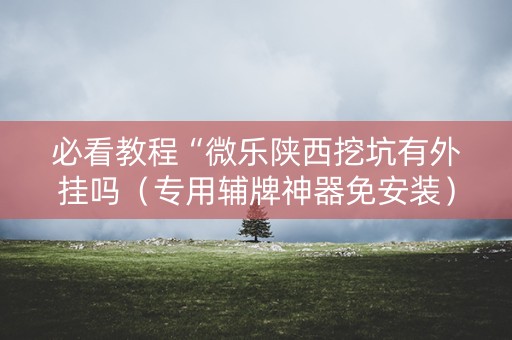 必看教程“微乐陕西挖坑有外挂吗（专用辅牌神器免安装）