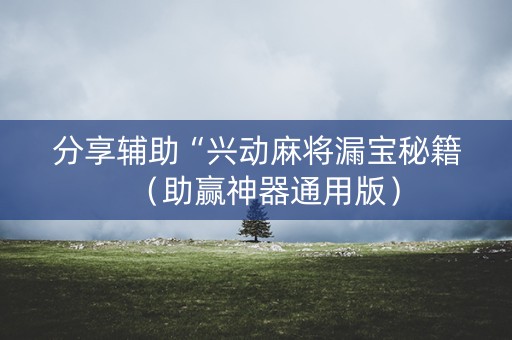 分享辅助“兴动麻将漏宝秘籍（助赢神器通用版）