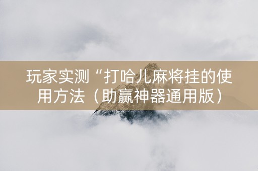 玩家实测“打哈儿麻将挂的使用方法（助赢神器通用版）