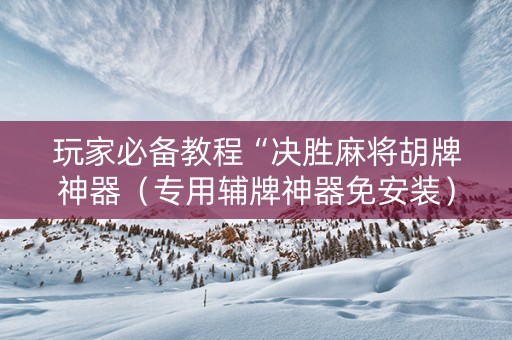 玩家必备教程“决胜麻将胡牌神器（专用辅牌神器免安装）