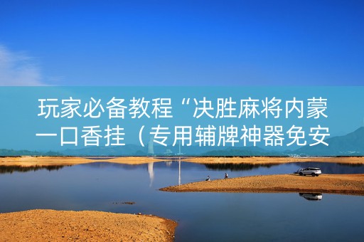 玩家必备教程“决胜麻将内蒙一口香挂（专用辅牌神器免安装）