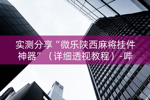 实测分享“微乐陕西麻将挂件神器”（详细透视教程）-哔哩哔哩