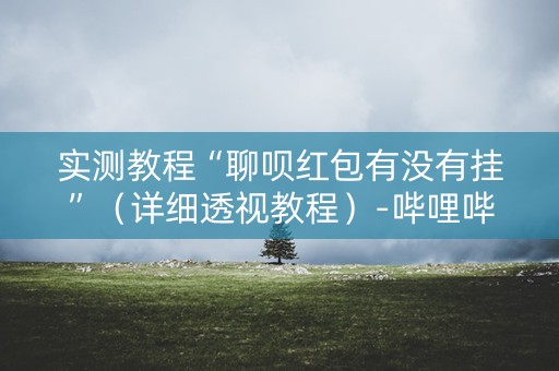 实测教程“聊呗红包有没有挂”（详细透视教程）-哔哩哔哩