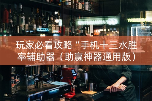 玩家必看攻略“手机十三水胜率辅助器（助赢神器通用版）