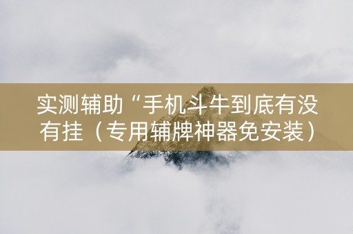 实测辅助“手机斗牛到底有没有挂（专用辅牌神器免安装）