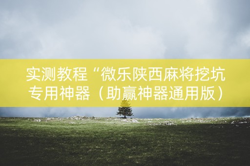 实测教程“微乐陕西麻将挖坑专用神器（助赢神器通用版）