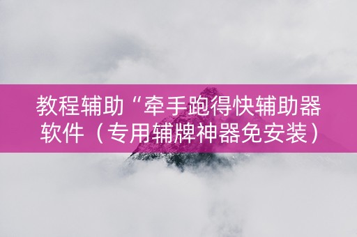 教程辅助“牵手跑得快辅助器软件（专用辅牌神器免安装）