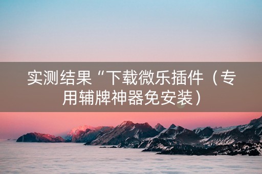 实测结果“下载微乐插件（专用辅牌神器免安装）