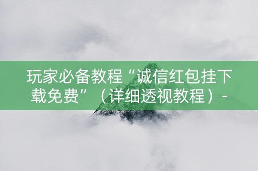 玩家必备教程“诚信红包挂下载免费”（详细透视教程）-哔哩哔哩