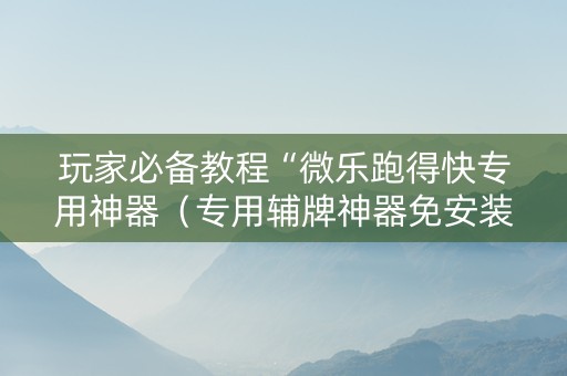 玩家必备教程“微乐跑得快专用神器（专用辅牌神器免安装）