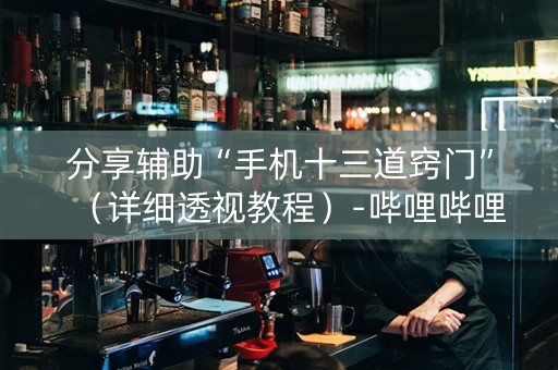 分享辅助“手机十三道窍门”（详细透视教程）-哔哩哔哩