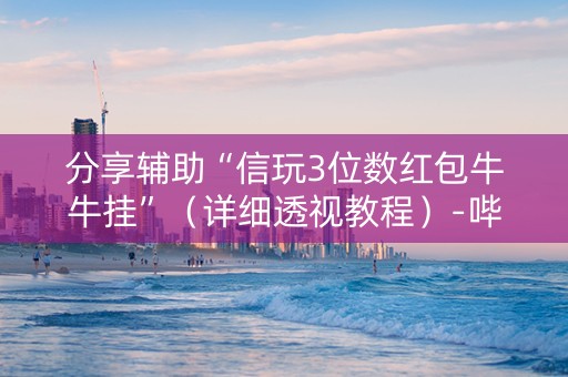 分享辅助“信玩3位数红包牛牛挂”（详细透视教程）-哔哩哔哩