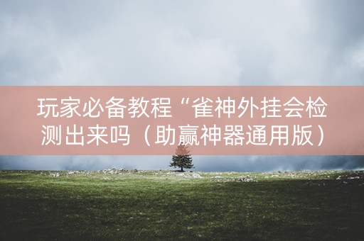 玩家必备教程“雀神外挂会检测出来吗（助赢神器通用版）