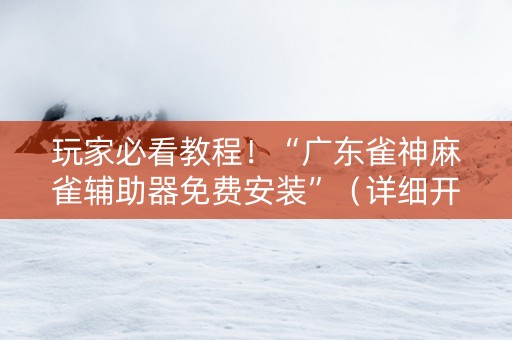 玩家必看教程！“广东雀神麻雀辅助器免费安装”（详细开挂教程）-哔哩哔哩