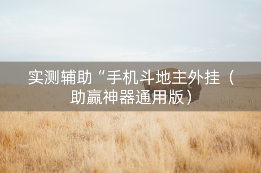 实测辅助“手机斗地主外挂（助赢神器通用版）
