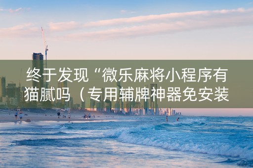 终于发现“微乐麻将小程序有猫腻吗（专用辅牌神器免安装）