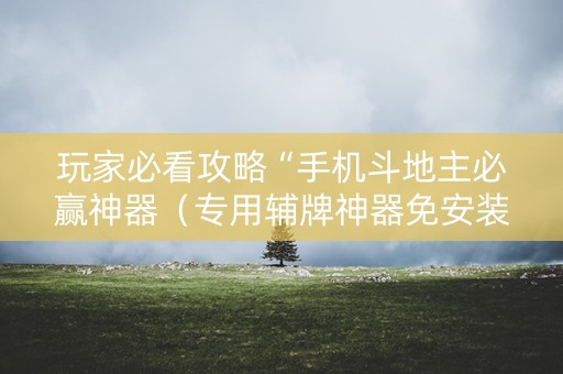 玩家必看攻略“手机斗地主必赢神器（专用辅牌神器免安装）