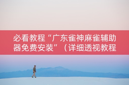 必看教程“广东雀神麻雀辅助器免费安装”（详细透视教程）-哔哩哔哩