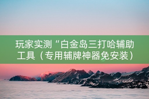 玩家实测“白金岛三打哈辅助工具（专用辅牌神器免安装）